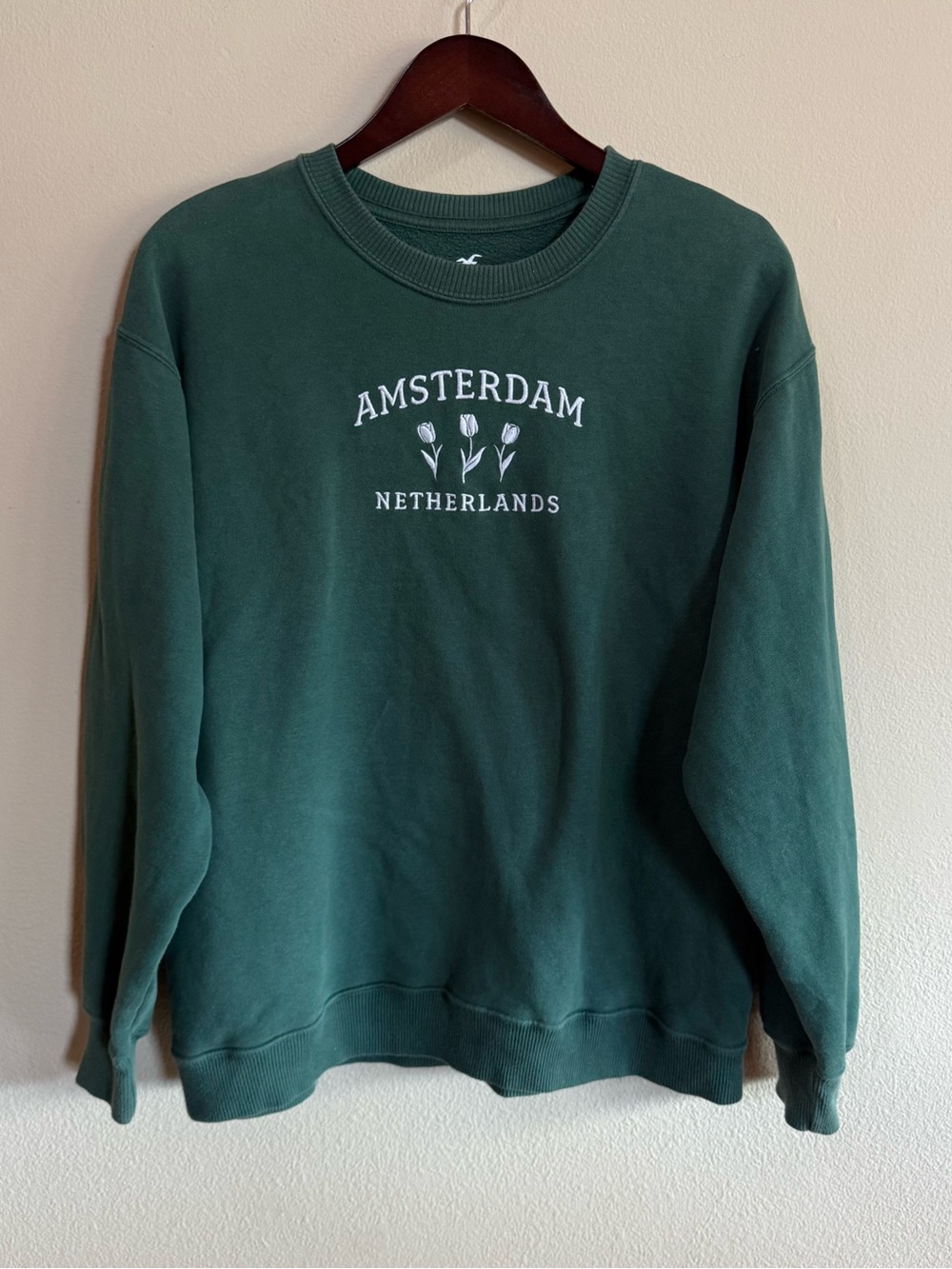 Hollister Graphic Crewneck Sweatshirt - Green